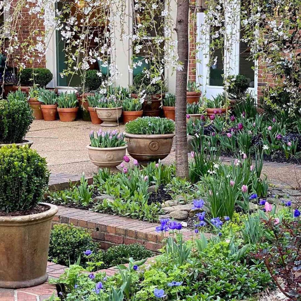 garden tree design ideas