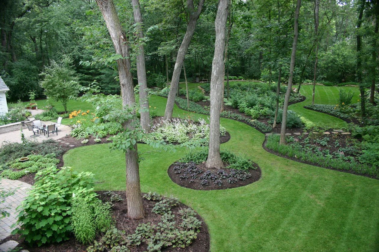 garden tree design ideas