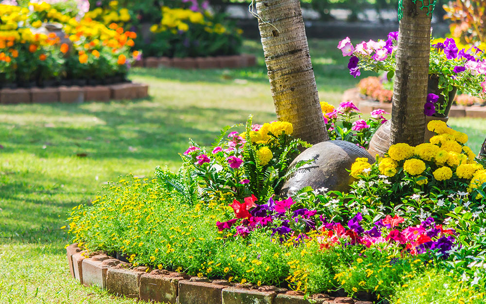 flower bed around tree