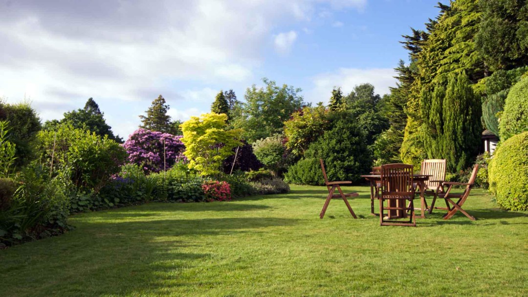 garden tree landscaping