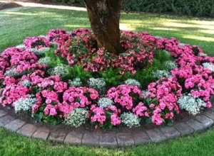 flower bed around tree