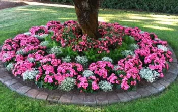 flower bed around tree