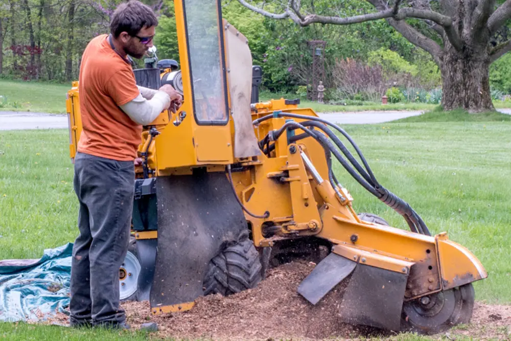 tree stump grinder