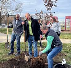 Tree Planting Guidelines