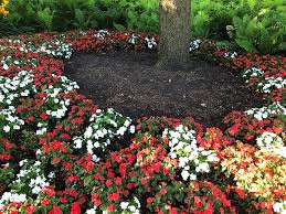 flower bed around tree