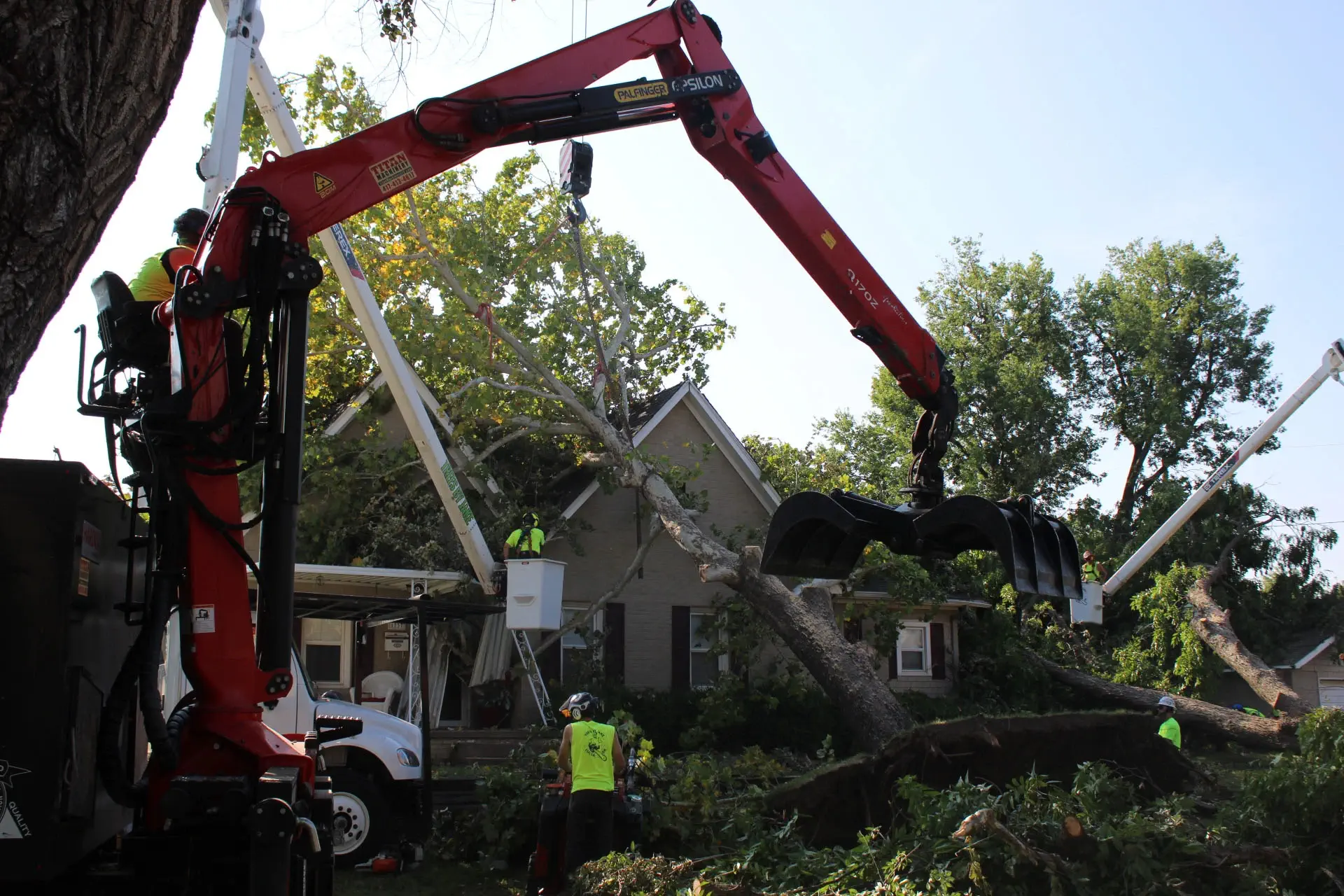 emergency tree service near me