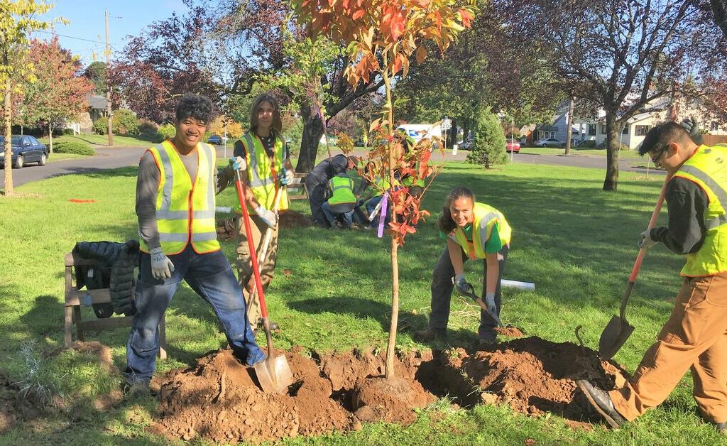 tree planting regulations