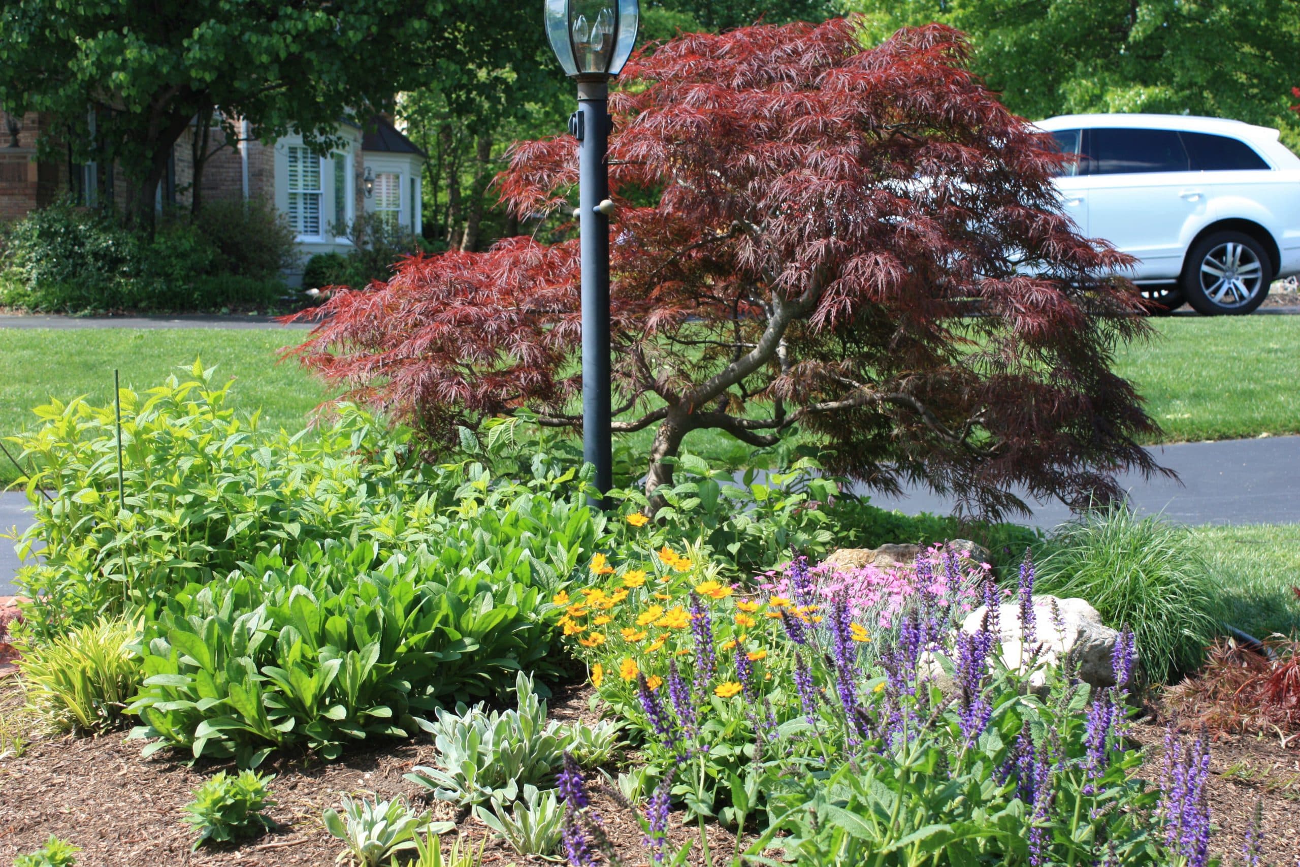 landscaping around trees