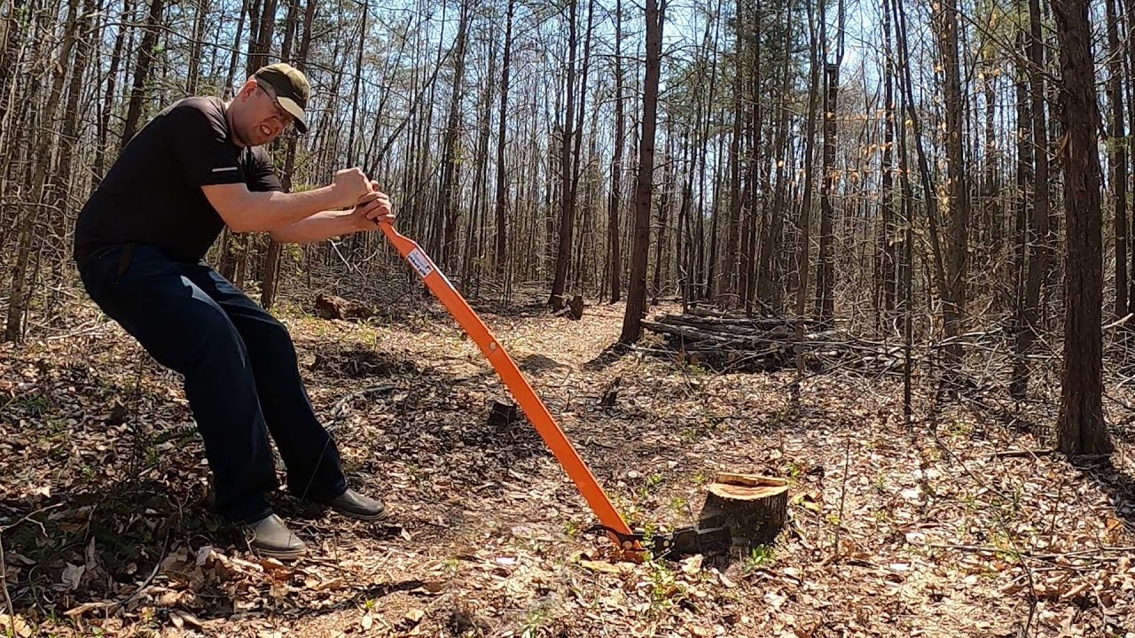 easy way to remove tree stumps