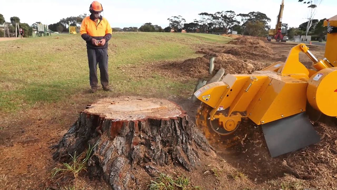 tree stump grinder