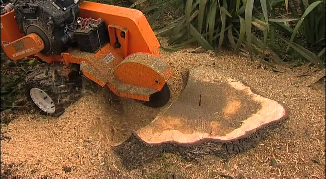 tree stump grinder