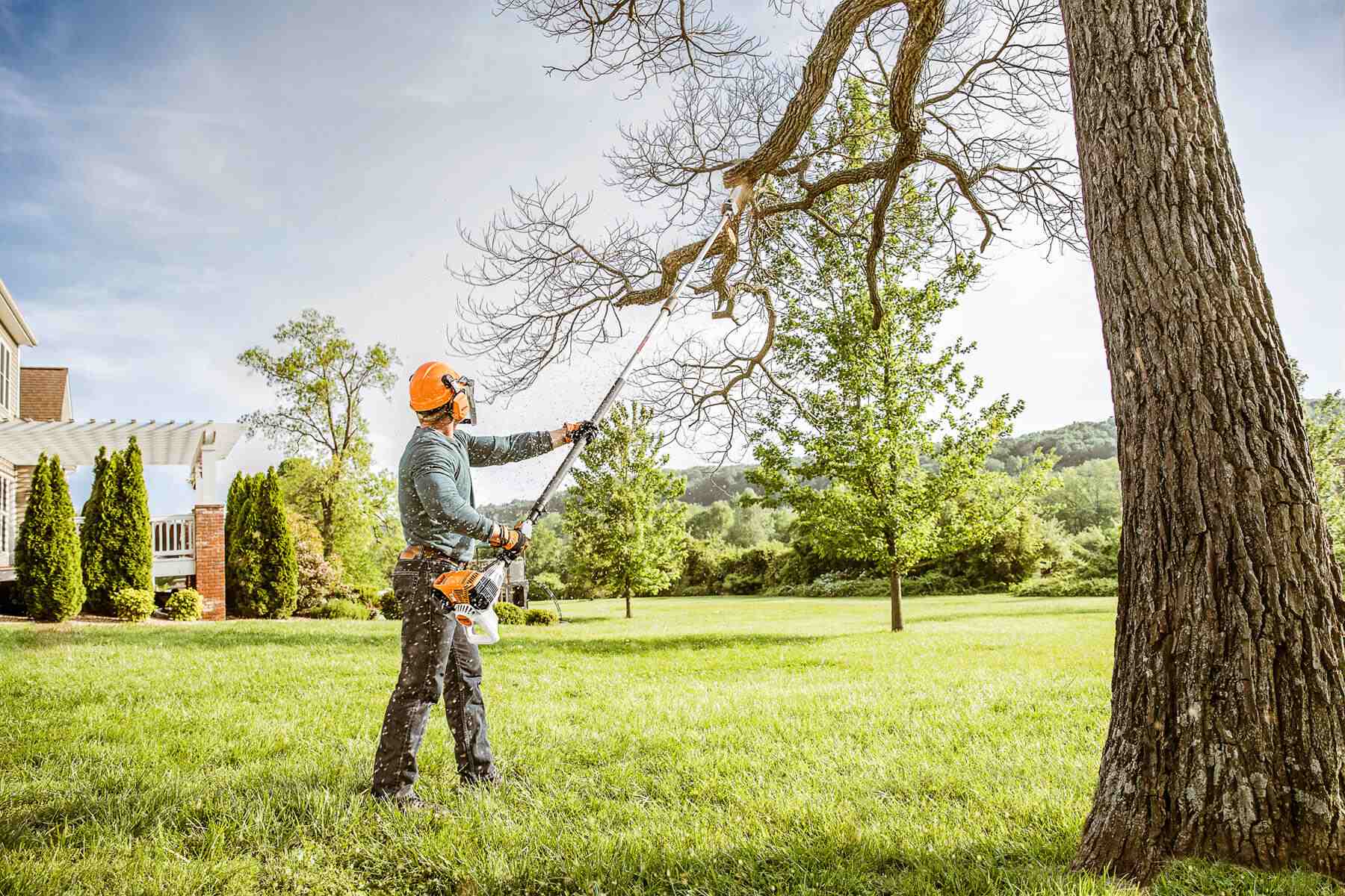 tree pruning services
