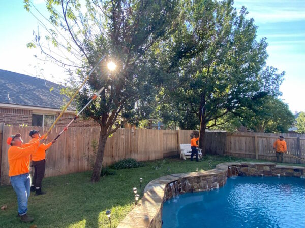 good guys tree service austin