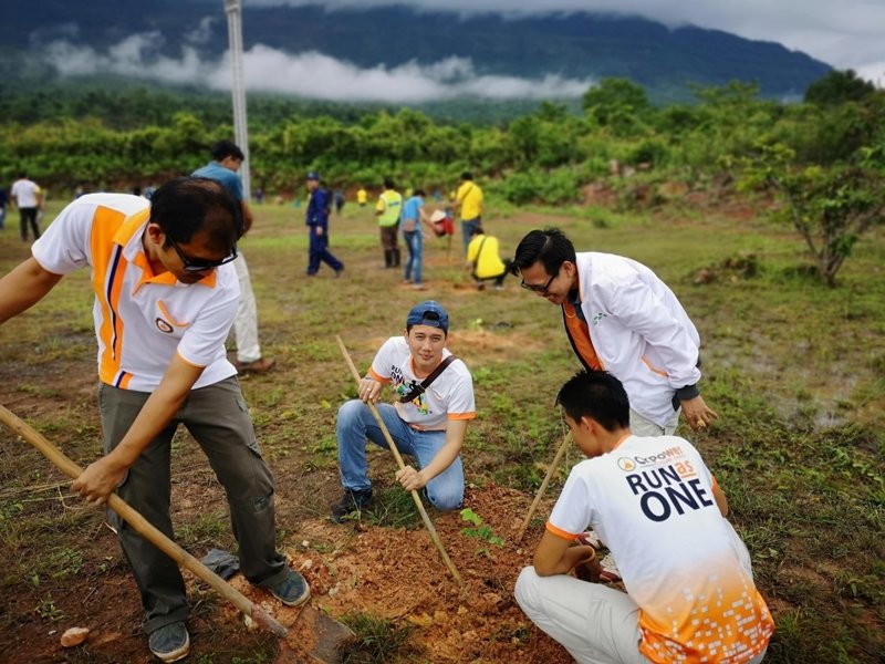 guidelines on tree planting activity