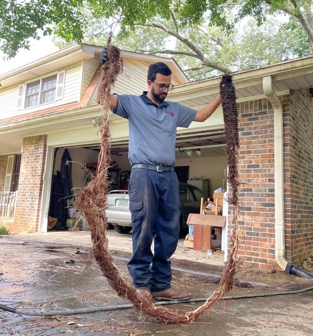 tree roots in sewer line
