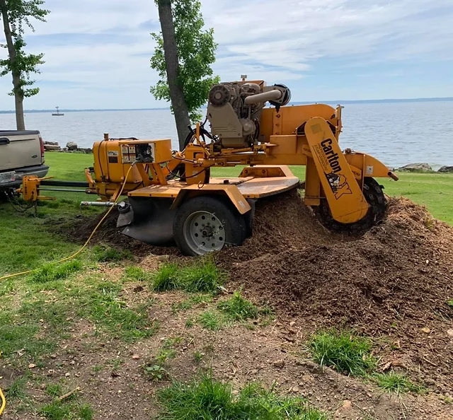 stump grinding appleton