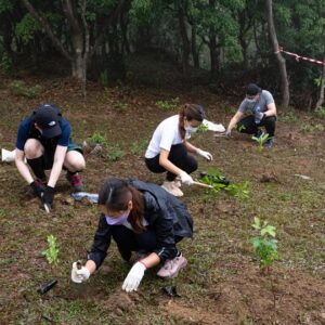 planting trees hong kong