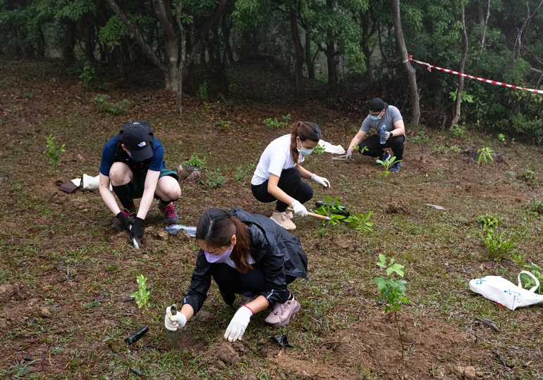 planting trees hong kong