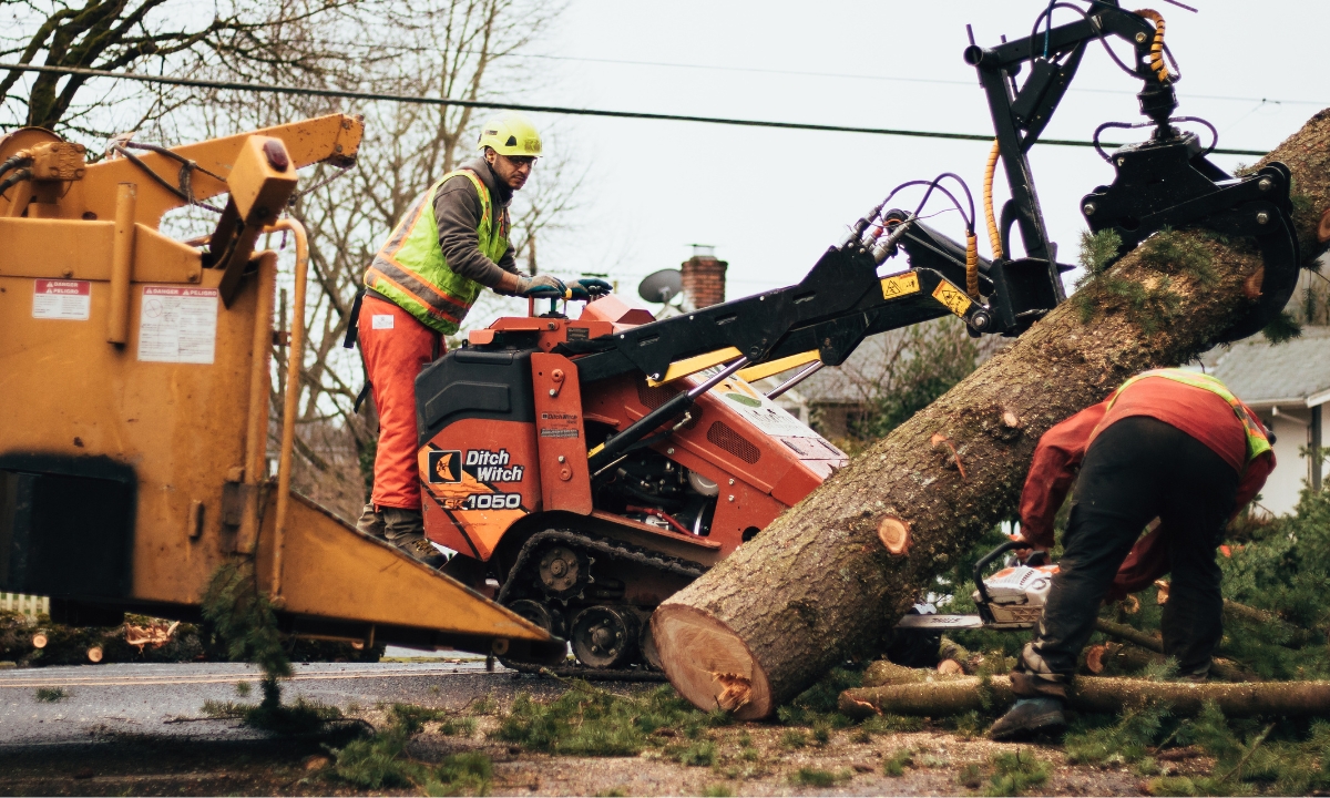 pro tree service