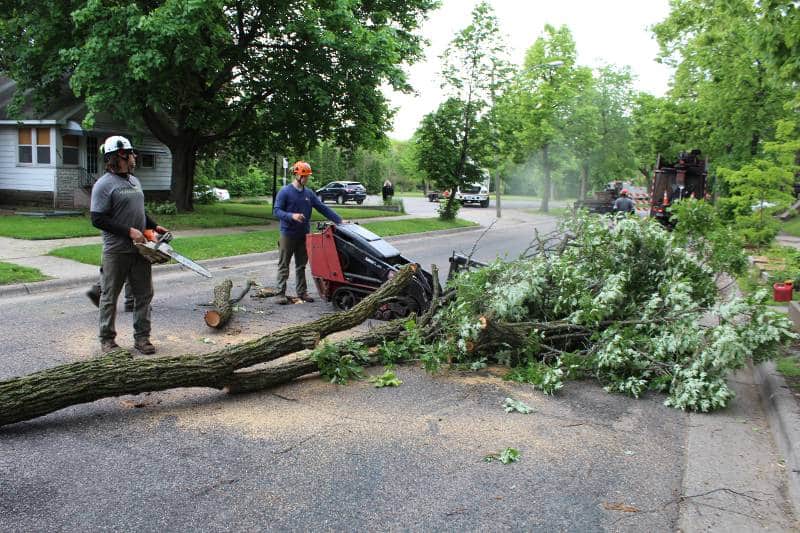 tree removal financing near me