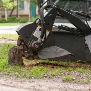 tree grinding service