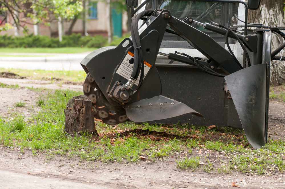 tree grinding service