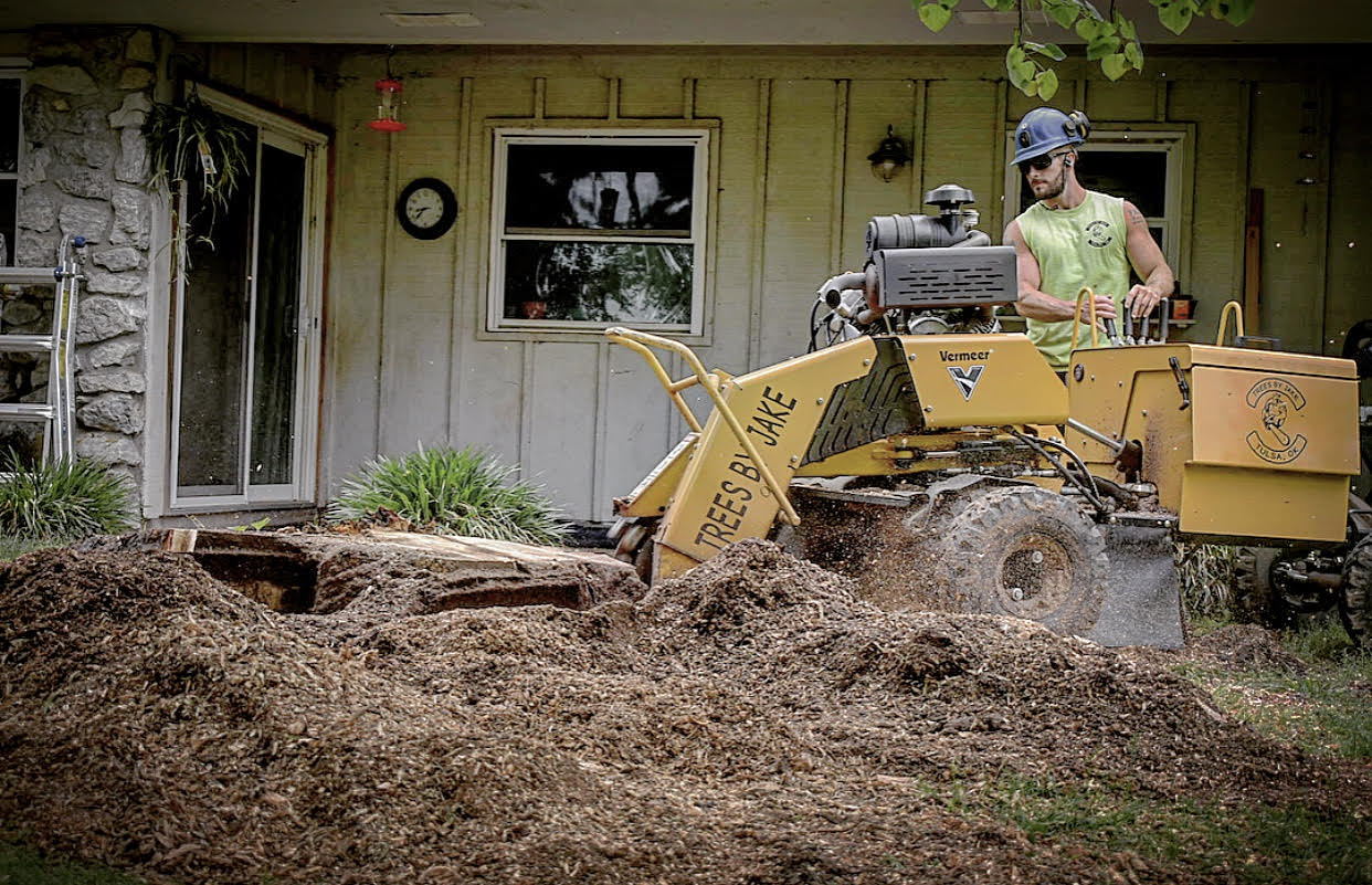 stump grinding