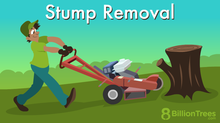 tree stump removal service