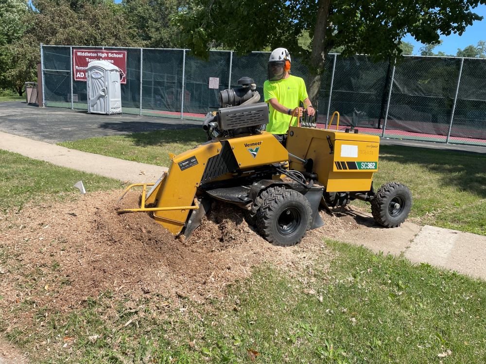 stump grinding