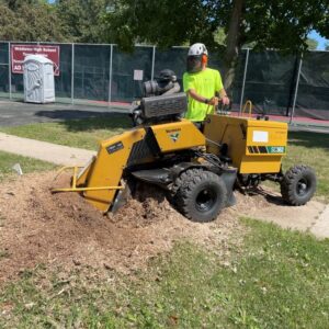 stump grinding