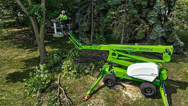 tree service appleton wi
