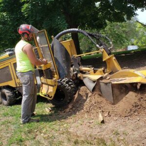 stump grinding appleton