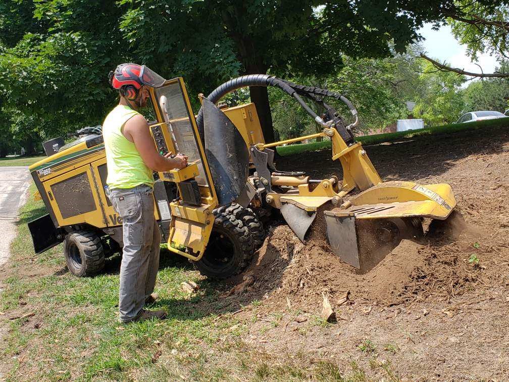 stump grinding appleton