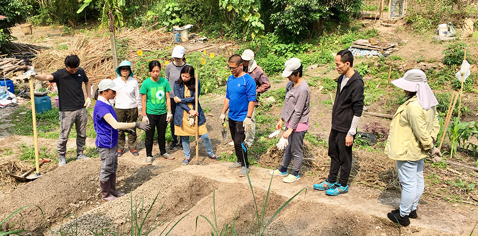 planting trees hong kong