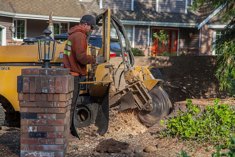 tree grinding service