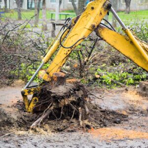 root removal