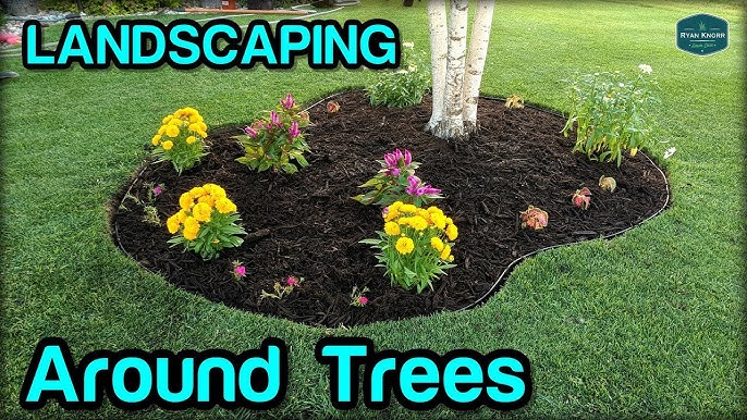 ideas for landscaping around trees