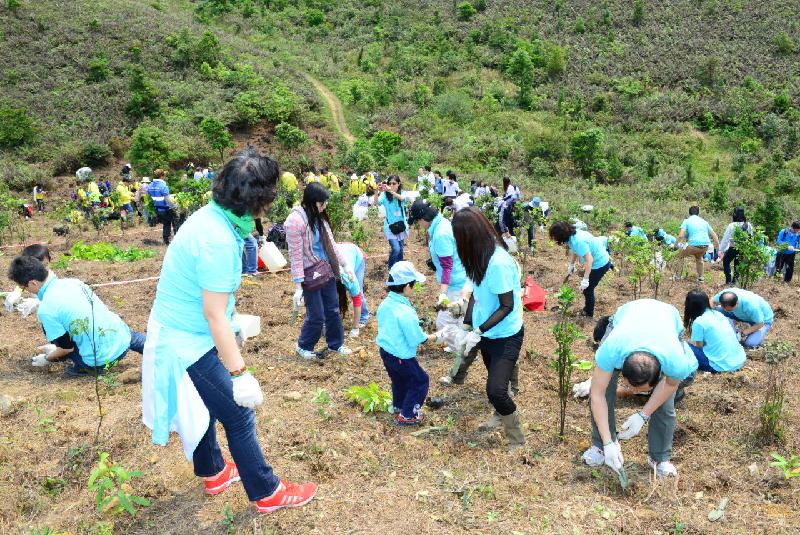 planting trees hong kong