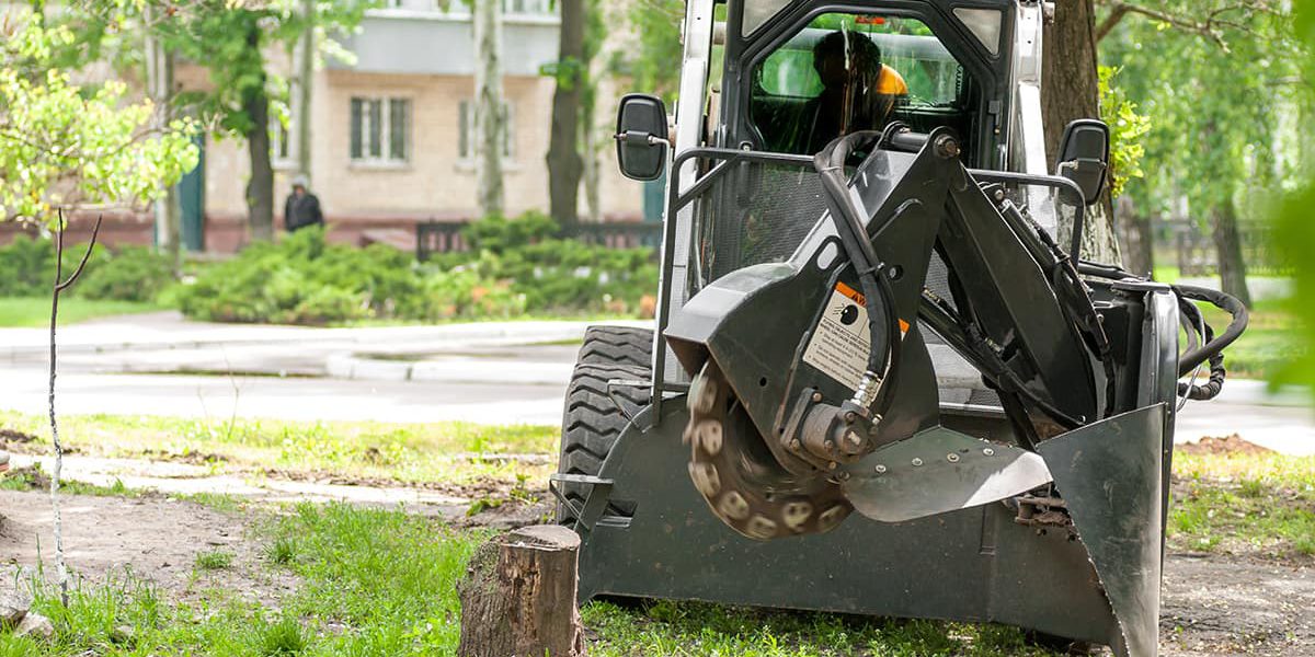 tree grinding service