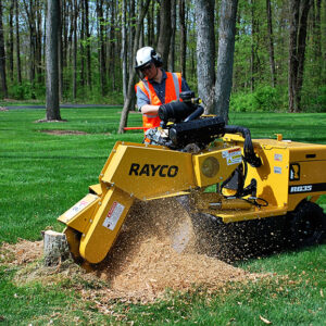 rent tree stump grinder