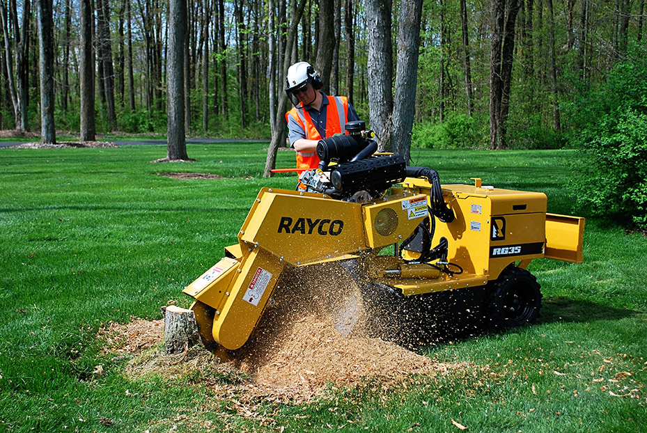 rent tree stump grinder