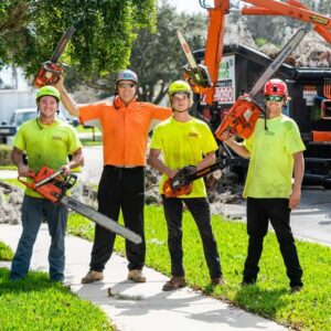 tree service daytona beach