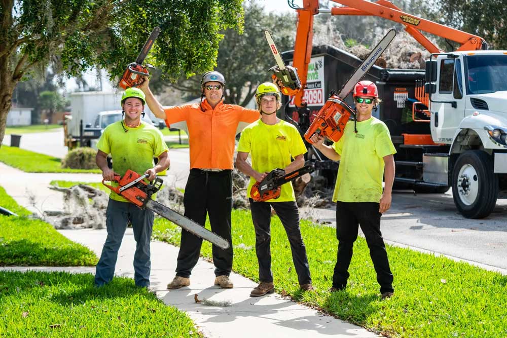 tree service daytona beach