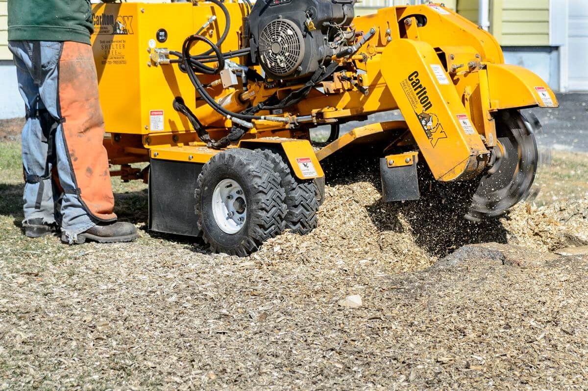 renting stump grinder near me