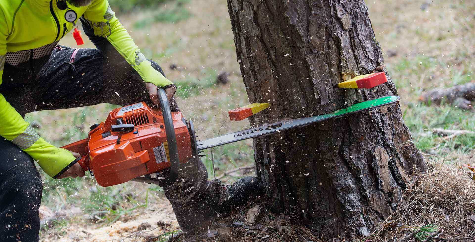 tree cutting equipment