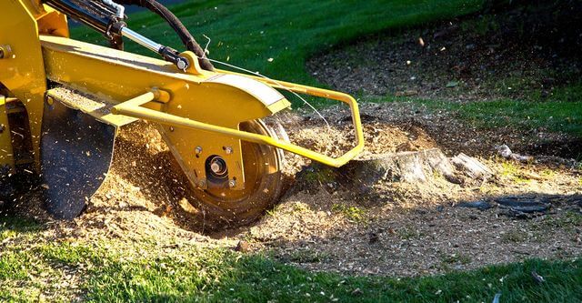 stump grinding near me