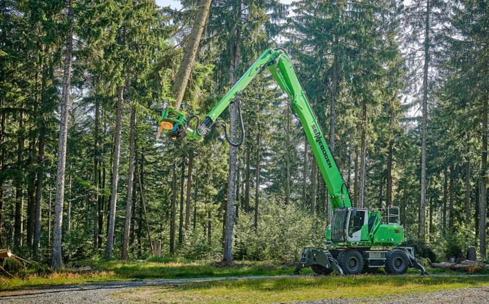 Tree cutting machine vehicle