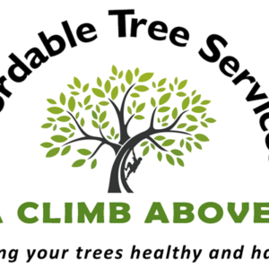 affordable tree removal