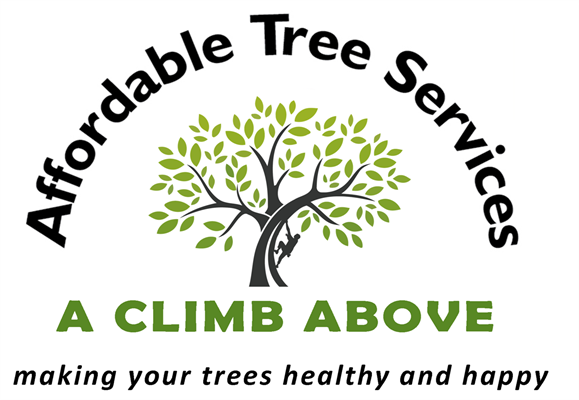 affordable tree removal