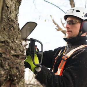 Professional Tree Services